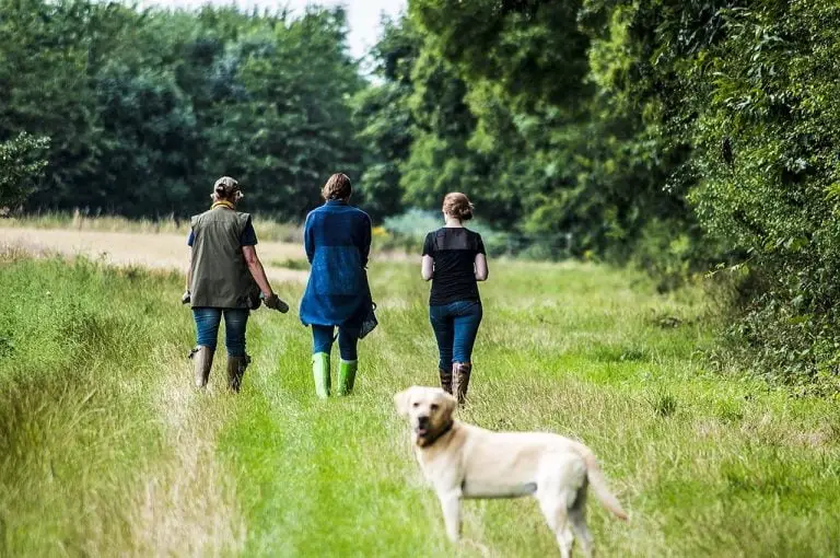 Wandelroutes in Drachten