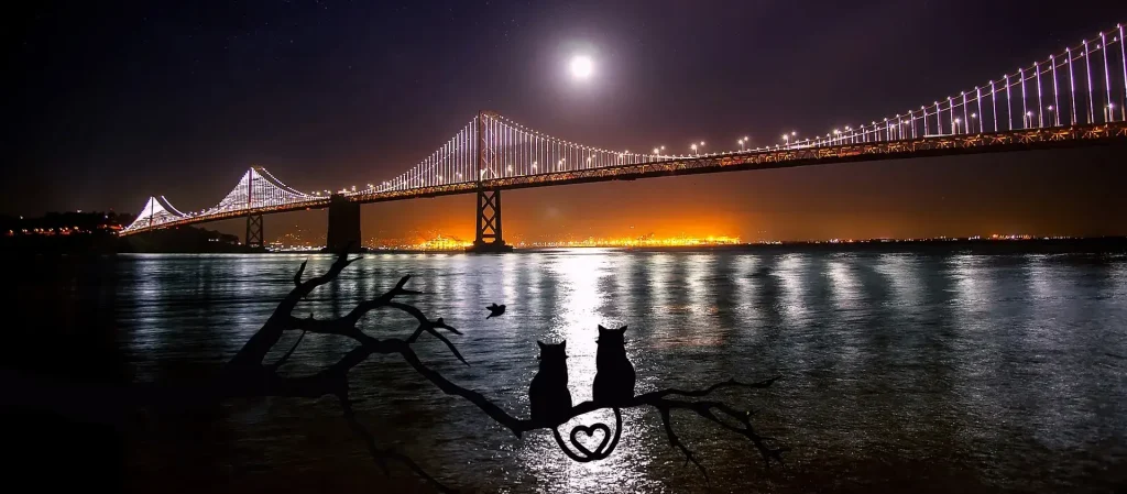 Een realistische foto van het centrum van Drachten met winkels, straatbeeld en een heldere, natuurlijke sfeer.